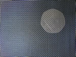 security fence