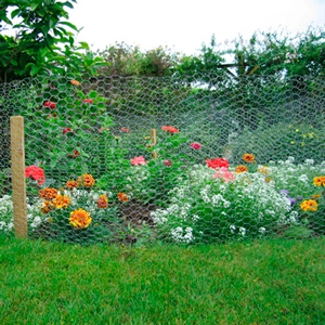 Rabbit Netting