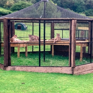 Large Cage For Zoos