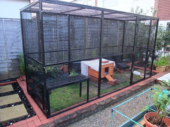 Rabbit run enclosure hotsell