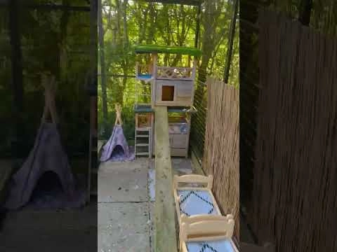 Cat run tunnel from cage to house video thumbnail